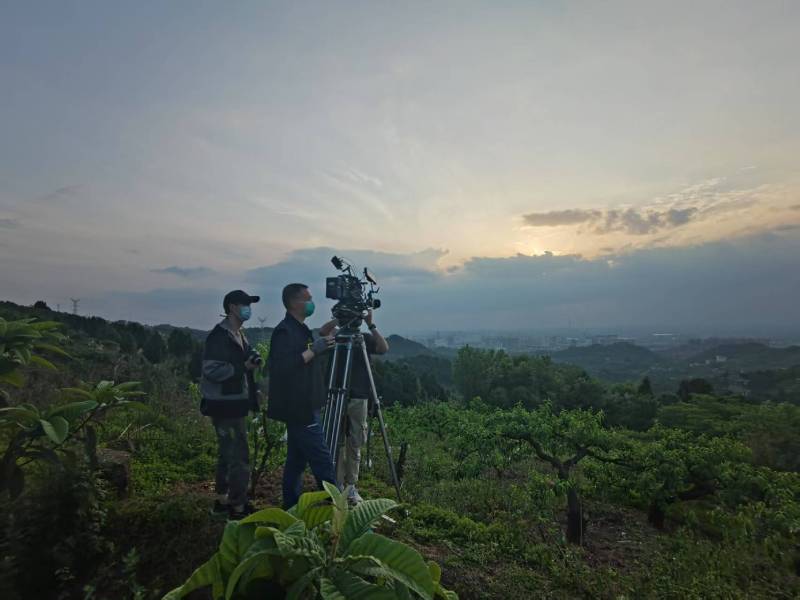 创意破圈！温县电商产品宣传视频用故事化叙事引爆流量
